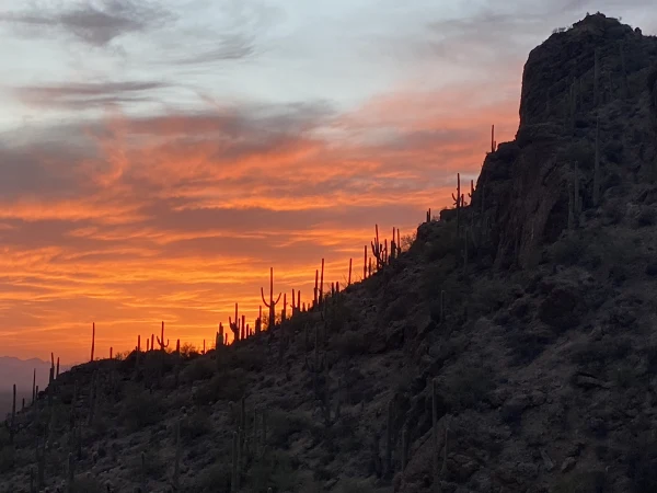 Traveling in Arizona